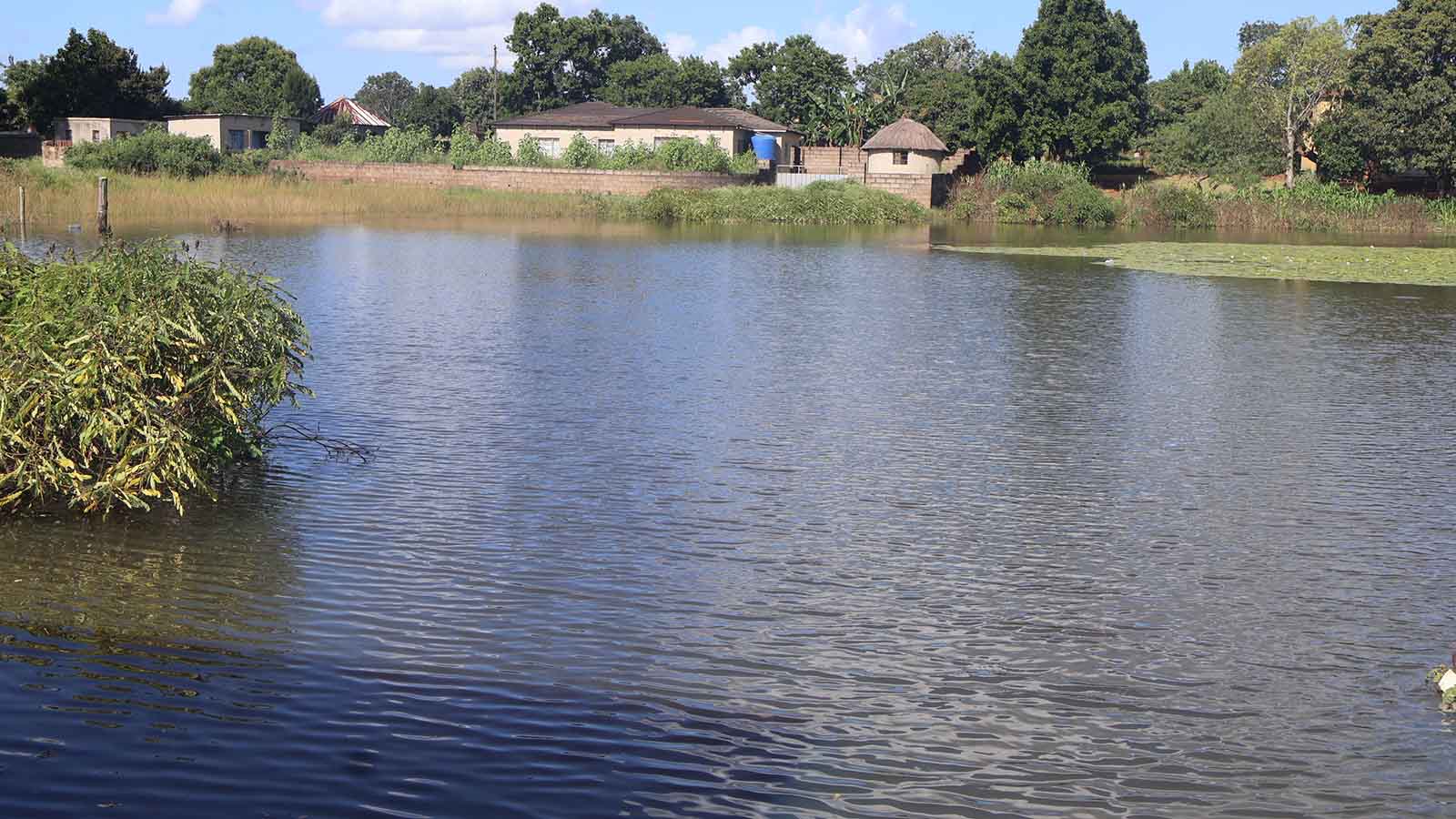Dangerous dam emerges near homes